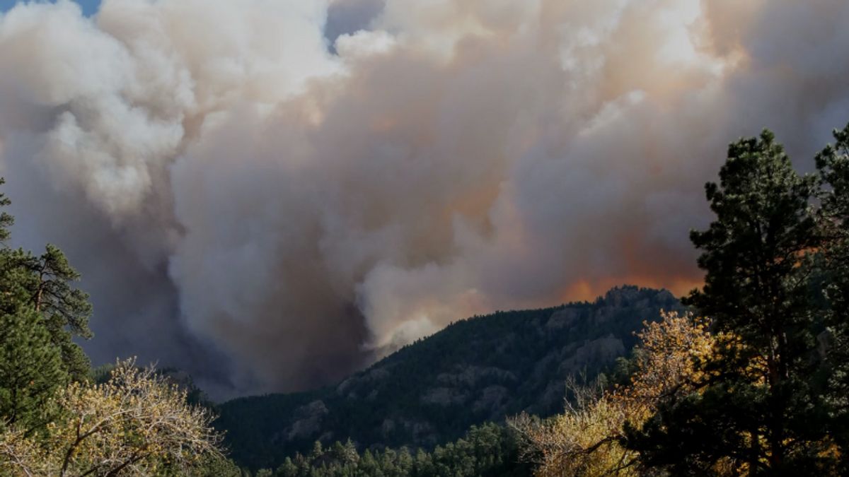 Arresté, déclencheur d'un énorme incendie dans la forêt californie après une voiture en feu à Jurang