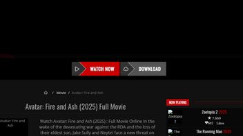 不要被愚弄！非法流媒体《阿凡达3》可能会导致数据被盗