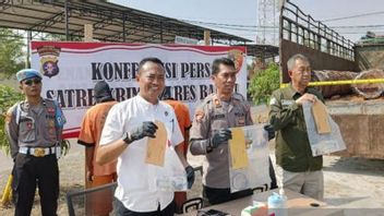 South Barito Police Securs 2 Suspected Perpetrators Of Illegal Logging