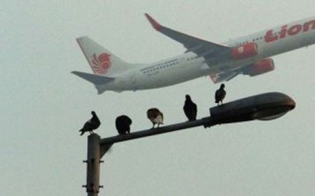 Penggiat Konservasi Paparkan Strategi Tekan Risiko Bird Strike