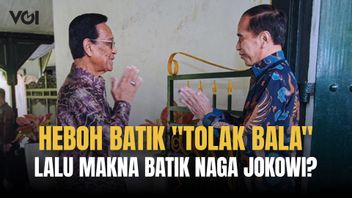 Heboh Makna Batik Sri Sultan HB X Katanya Tolak Bala Saat Bertemu Jokowi