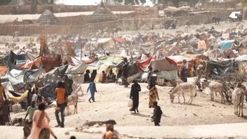 联合国官员称苏丹的性暴力规模可高