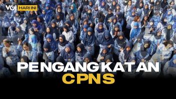 VOI Hari Ini: Pengangkatan CPNS 2024 Diundur, Bagaimana Dampaknya?