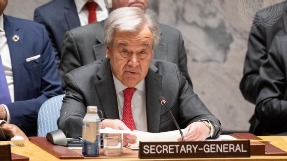 Israeli Attack Kills UN Staff And Aid Workers In Gaza, UN Secretary General: Unreceived