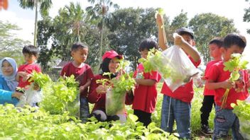 Tekan Angka Stunting, Pemprov Babel Ingatkan Pentingnya Anak Konsumsi Sayur