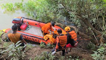 Hingga Pertengahan Januari, Jumlah Warga Tewas Terseret Arus Sungai di Sumbar 4 Orang