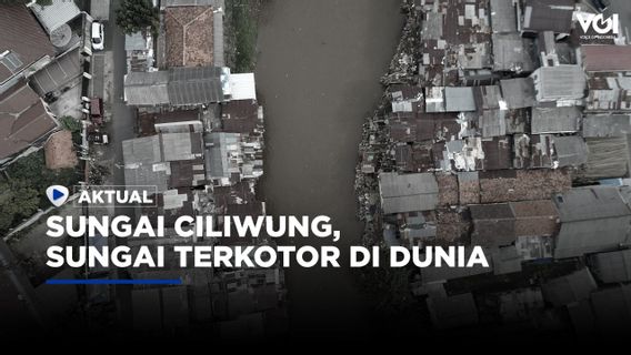 Ciliwung, Sungai Terkotor di Dunia?