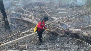 BMKG: El Nino Lemah Picu Musim Kemarau yang Lebih Kering