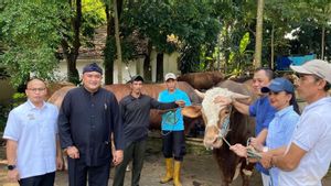 President Prabowo Distributes 58 Sacrificial Cows To Neighbors In Bojongkoneng Bogor