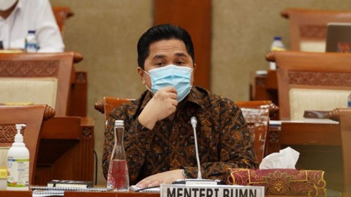 Ini Solusi Menteri BUMN Erick Thohir untuk Petani Kelapa Sawit Riau