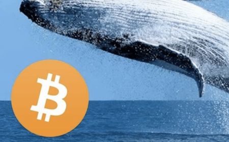 Whale Bitcoin Cairkan 12.000 BTC, Pasar Kripto Masih Aman?