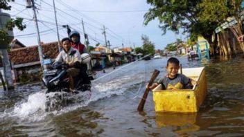 BMKG: روب الفيضانات تنبيه في ميدان بيلاوان حتى 9 نوفمبر