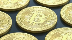 Nouveau record du prix du Bitcoin de 1,2 milliard de roupies, l’impact des élections américaines et l’intérêt institutionnel