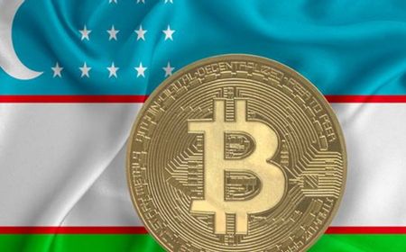 Perusahaan Perdagangan Kripto di Uzbekistan Harus Setor Biaya Bulanan ke Pemerintah