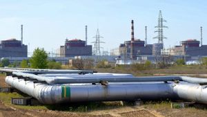 Ukraina Tidak akan Pernah Menyetujui Pendudukan Rusia atas PLTN Zaporizhzhia
