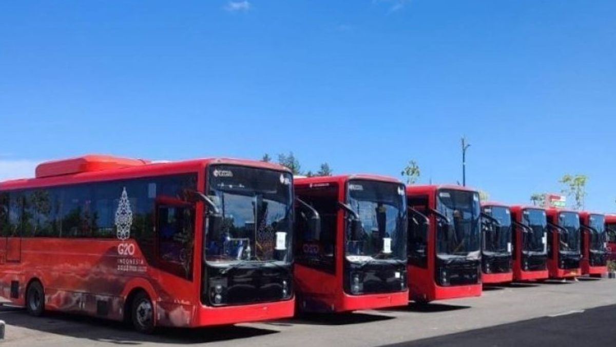 دامري تشغل 3 خطوط للحافلات الكهربائية خلال قمة مجموعة العشرين بالي