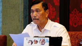 Admits Lack Of Oxygen In Some Areas, Luhut: We Import