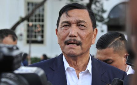 Luhut Ancam Berhentikan Sementara Gubernur-Bupati-Wali Kota Tak Jalankan PPKM Darurat Jawa-Bali