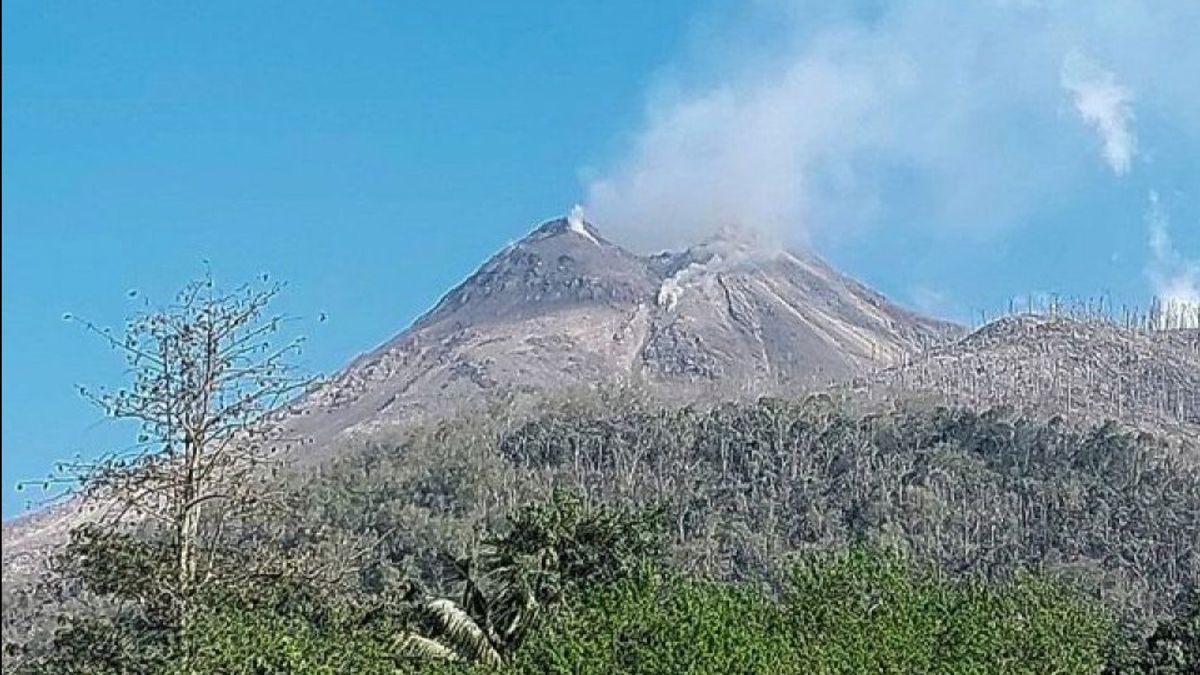 Gunung Lewotobi Mereda, Kemenhub: Service de vol de retour à la normale