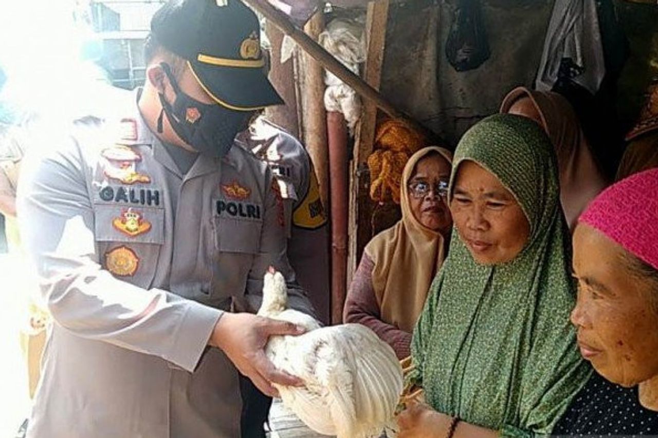 予防接種を受けたいシアンジュルの高齢者にとって良いニュースは、ライブチキンギフトを手に入れる