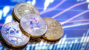 Investor Institusional Meningkat, Tokocrypto: Fase Baru Pertumbuhan Pasar Kripto RI