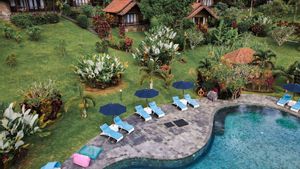 Pengalaman Self Healing di Bali: Panduan Retreat Yoga dan Meditasi untuk Keseimbangan Jiwa