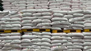 Pupuk Indonesia Kebut Penyaluran Pupuk Subsidi hingga Akhir 2025