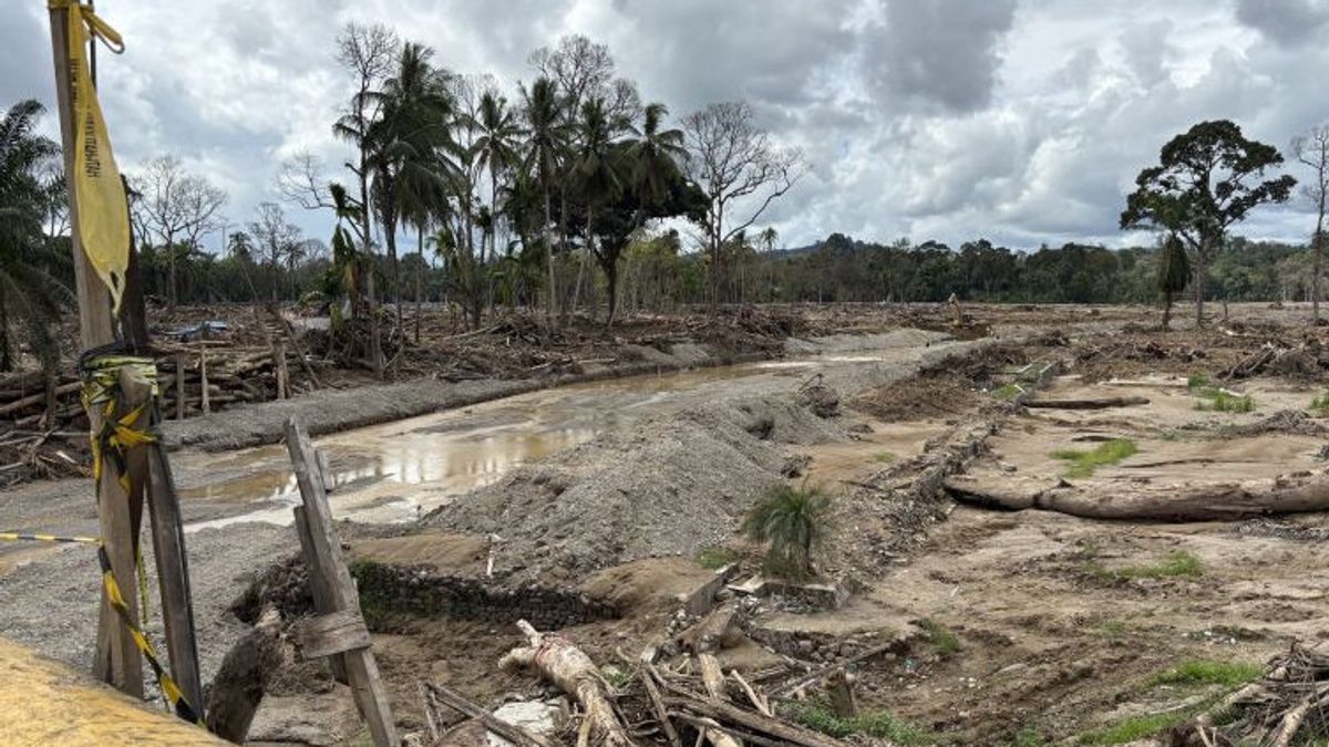 ريجنسي تابسل يطلب معدات ثقيلة غاطسة لنقل أكوام من الخشب