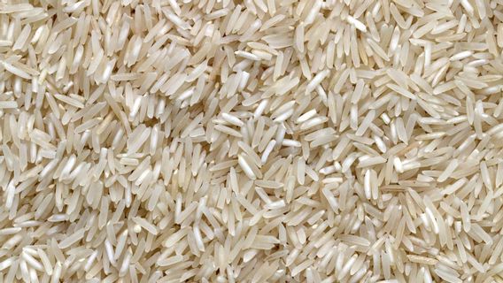 Rice Ulat Dangers If Eatable