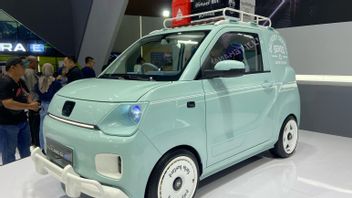 After Talkshow Title At IIMS 2025, Discuss Electric Car Modification