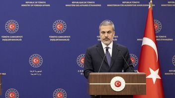 Menlu Turki Sebut Dewan Perdamaian Gaza Tawarkan Kesempatan Membangun Perdamaian Abadi