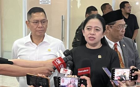 Puan Tegaskan Jawa Tengah Masih Jadi Kandang Banteng Meski Andika-Hendar Kalah di Pilkada Jateng