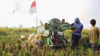 美国农业进口0 Persen,DPR要求国家加强Bulog和ID FOOD
