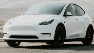 Pemerintah India Izinkan Empat Varian Tesla Turun ke Jalanan
