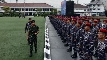 Welcoming 214 Crew Of KRI Radjiman After Delivering 242.6 Tons Of Aid To Gaza, TNI Commander: Welcome To Indonesia