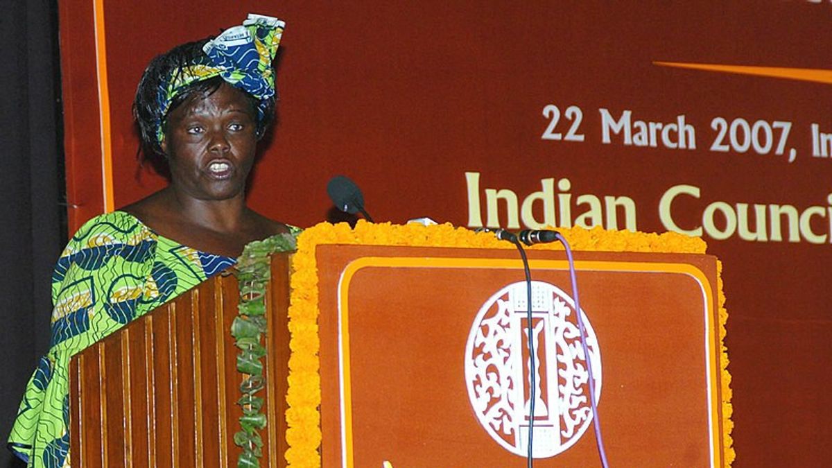 Nobel Prize For Wangari Muta Maathai "The Acacia Tree"
