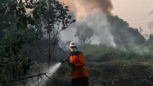 Komitmen Satgas Pencegahan Karhutla Siaga di NTT Perlancar KTT ASEAN 2023