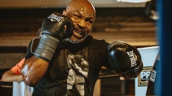 Mike Tyson Kena 'Pukul', Negara Bagian Colorado Larang Peredaran Makanan Ganja Berbentuk Kuping Holyfield