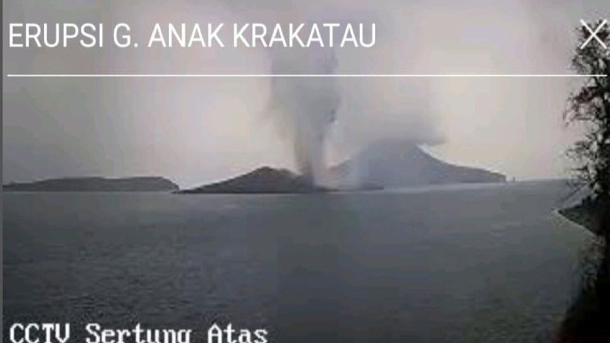 Gunung Anak Krakatau Kembali Erupsi, Kolom Abu Setinggi 1.500 Meter