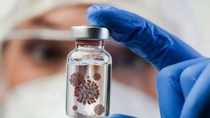 Belum Ada Obat dan Vaksin, Cegah Virus Nipah dengan Perilaku Hidup Bersih