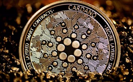 Cardano Dapat Upgrade, Ini yang Harus Kamu Tahu!