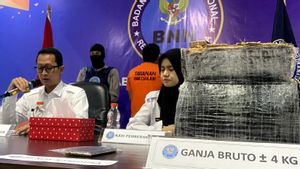 Sebar Anggotanya ke Kantor Ekspedisi di Cianjur, BNN Tangkap Kurir dan 4 Kg Ganja dari Sumut
