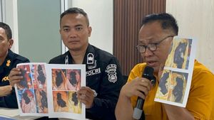 DVI Sends 16 DNA Samples of ALS Bus Victims in Muratara to the National Police Headquarters