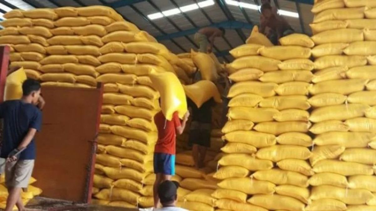 Amazing, Makassar Bulog Has Rice Stock For 64 Months!