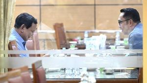 The Palace Calls The Prabowo-Ridwan Kamil Meeting At The Padang Restaurant Due To Personal Closeness