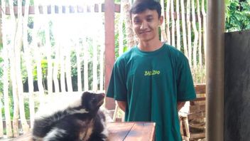 Libur Natal dan Tahun Baru, Bali Zoo Punya Wahana Jungle Encounter dengan Satwa Unik