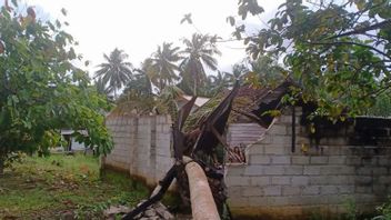 強風で被害を受けたバンカの数十軒の家屋