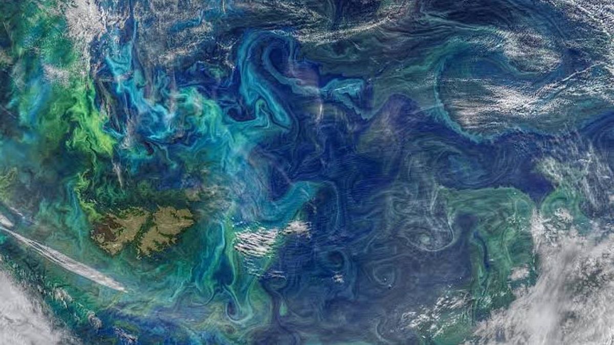  NASAは現在の気候変動による「新たなハリケーン」を紹介する。それらがより危険である理由を確認してください
