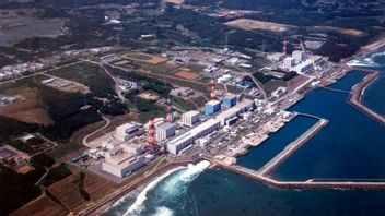 决定将福岛放射性水倾倒入海，日本政府表示没有负面影响