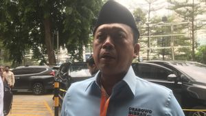 Kampanye di Jakarta, TKN: Prabowo-Gibran Tidak Cuti, Tetap Kerja Seperti Biasa